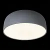 Потолочный светильник Loft IT Axel 10201/480 Grey 10201/480 Grey - 4