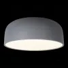 Потолочный светильник Loft IT Axel 10201/480 Grey 10201/480 Grey - 2