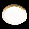 Потолочный светильник Loft IT Coin 10198 White 10198 White - 6