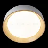 Потолочный светильник Loft IT Coin 10202 White 10202 White - 4