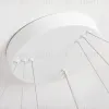 Подвесная люстра Ambrella Light Comfort FL5511 FL5511 - 3