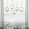 Подвесной светильник ImperiumLoft Lotos 140840-26 140840-26 - 12