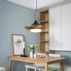 Подвесной светильник ImperiumLoft Rask 151756-26 151756-26 - 8