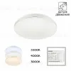 Потолочный светильник Citilux Симпла CL71424SV CL71424SV - 1