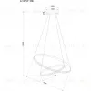 Подвесной светильник Arte Lamp Frodo A2197SP-2BK A2197SP-2BK - 4