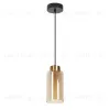 Подвесной светильник Arte Lamp Leo A7027SP-1BK A7027SP-1BK - 1