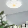 Потолочный светильник Eglo Nieves 1 900498 900498 - 2
