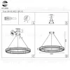 Подвесная люстра ST Luce SL1622.183.01 SL1622.183.01 - 5