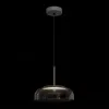 Подвесной светильник Loft IT Disk 8210-P Grey 8210-P Grey - 2