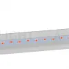 Фитолампа для растений Эра FITO-18W-RB-Т8-G13-NL Б0042990 Б0042990 - 2