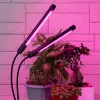 Светильник для растений Эра FITO-20W-АLED-N Б0053059 Б0053059 - 10