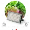Фитопрожектор для растений Эра FITO-80W-RB-LED-Y Б0053082 Б0053082 - 3