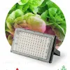 Фитопрожектор для растений Эра FITO-80W-RB-LED-Y Б0053082 Б0053082 - 2