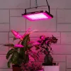 Фитопрожектор для растений Эра FITO-80W-RB-LED-Y Б0053082 Б0053082 - 9