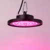 Фитопрожектор для растений Эра FITO-50W-RB-LED-UFO Б0053280 Б0053280 - 4