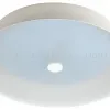 Потолочный светильник Эра SPB-6-60-RC Locus RGB Б0053315 Б0053315 - 1