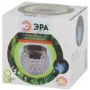 Уличный светильник Эра ERASF22-31 Б0053378 Б0053378 - 3