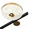 Потолочная люстра Escada Divita 10219/6LED 10219/6LED - 6