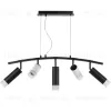 Подвесной светильник Lightstar Rullo LR7353628731 (571735+214436-2+214487-3+202431-5) LR7353628731 - 2