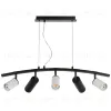 Подвесной светильник Lightstar Rullo LR735363872 (571735+214436-3+214487-2) LR735363872 - 2