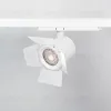 Бленда с сетчатым фильтром и посадочным кольцом Arlight LGD-NIKA-BDH-R100 (WH-BK) 036007 036007 - 2