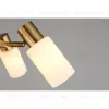 Подвесная люстра Omnilux Ales OML-69103-06 OML-69103-06 - 6