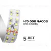 Светодиодная лента Apeyron 24В ПРО 42Вт/м smd2835 240д/м IP20 4200Лм/м 5м 4000К 00-316 00-316 - 3