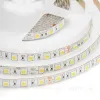 Светодиодная лента Apeyron 24В ПРО 14,4Вт/м smd5050 60д/м IP65 1100Лм/м 5м 6500К 00-318 00-318 - 4
