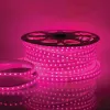 Светодиодная лента Apeyron 220В СТ 10Вт/м smd5050 60д/м IP65 50м RGB 10-64 10-64 - 5