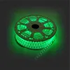 Светодиодная лента Apeyron 220В 12Вт/м smd5050 60д/м IP65 аксессуарами RGB 10-51 10-51 - 1