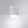 Накладной спот Arte Lamp Intercrus A5549PL-1WH A5549PL-1WH - 2