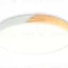 Потолочный светильник Ambrella Light Orbital Design FZ1301 FZ1301 - 1