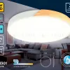 Потолочный светильник Ambrella Light Orbital Design FZ1301 FZ1301 - 2