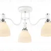 Потолочная люстра Ambrella Light Modern TR303302 TR303302 - 1