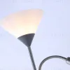 Торшер Ambrella Light Floor TR97626 TR97626 - 5