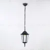 Уличный подвесной светильник Ambrella Light Garden ST2029 ST2029 - 2
