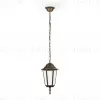 Уличный подвесной светильник Ambrella Light Garden ST2031 ST2031 - 1