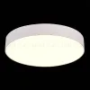 Потолочный светильник ST Luce ST606.532.48 ST606.532.48 - 3