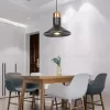 Подвесной светильник ImperiumLoft Rarity 189842-23 189842-23 - 9
