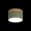 Накладной светильник Loft IT Grape 10162 Green 10162 Green - 2