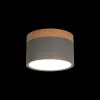 Накладной светильник Loft IT Grape 10162 Grey 10162 Grey - 2