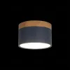 Накладной светильник Loft IT Grape 10162 Blue 10162 Blue - 2