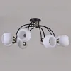 Люстра на штанге Illumico IL0250-8CSQ-79 BK AB IL0250-8CSQ-79 BK AB - 2