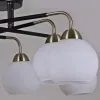 Люстра на штанге Illumico IL0252-8CSQ-79 BK AB IL0252-8CSQ-79 BK AB - 3