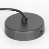 Подвесной светильник Lussole Blount LSP-8786 LSP-8786 - 6
