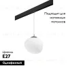 Трековый светильник Lightstar Arnia PRO805016 (805016+595007) PRO805016 - 2