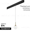 Трековый светильник Lightstar Globo PRO813012 (813012+595007) PRO813012 - 2