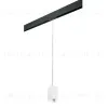 Трековый светильник Lightstar Rullo PRORP6586 (216586+595987) PRORP6586 - 1