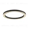 Потолочный светильник Delight Collection C0852-670A black C0852-670A black - 1