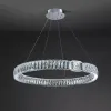 Подвесная люстра Delight Collection D8010P/R/D600 silver D8010P/R/D600 silver - 2